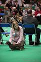 Crufts2011_2 1214